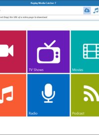 pelicula Replay Media Catcher v7